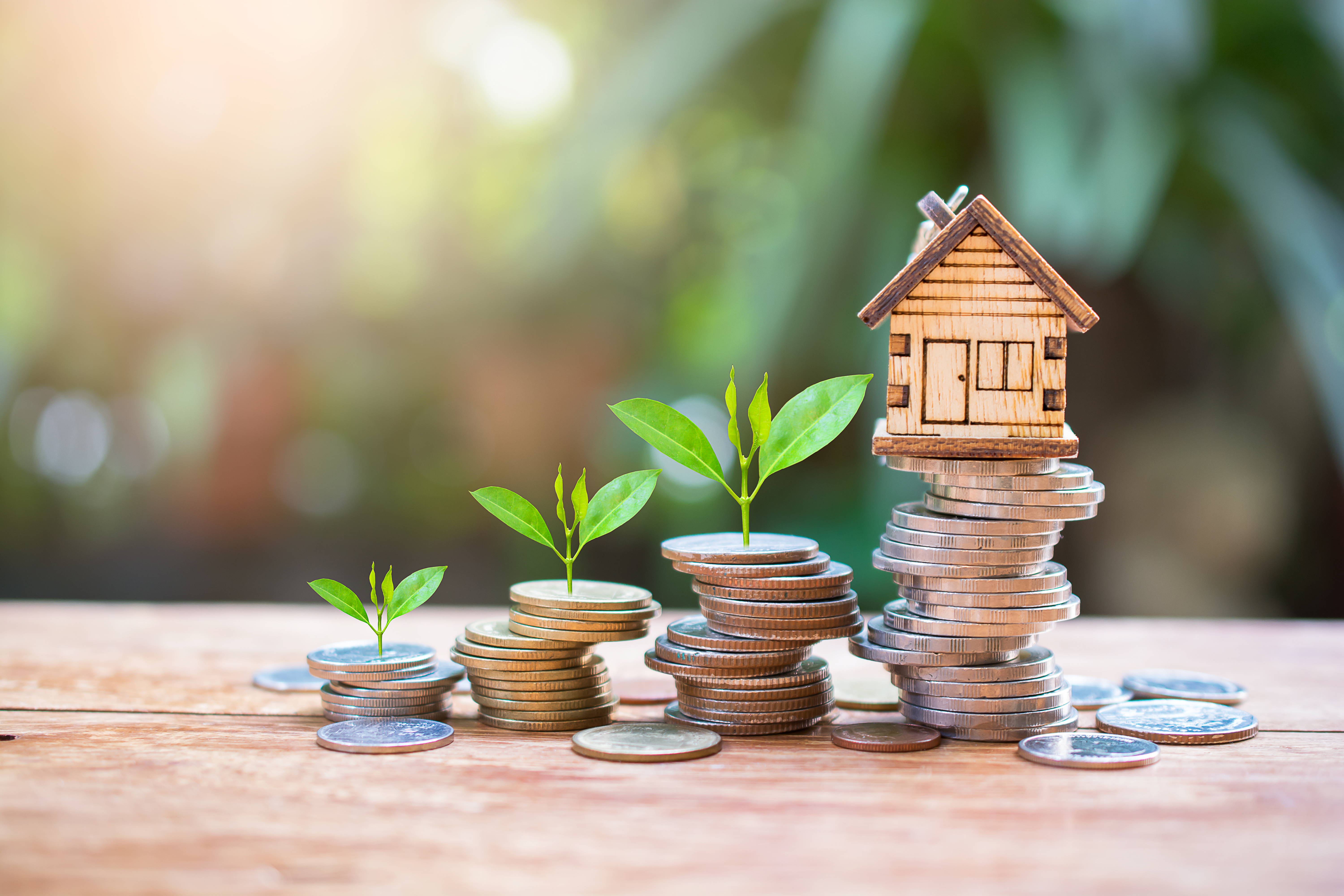 Financial planning with coins and house model